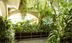 il deposito piante green parking studiato apposta per contenere piante