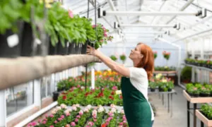 come gli addetti del green parking si prendono cura delle tue piante