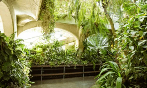 il deposito piante green parking studiato apposta per contenere piante